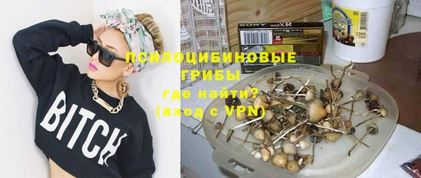 мдпв Семёнов